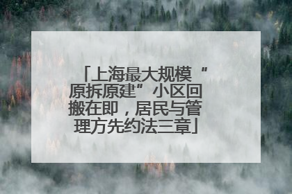 上海最大规模“原拆原建”小区回搬在即，居民与管理方先约法三章