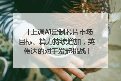 上调AI定制芯片市场目标、算力持续增加，英伟达的对手发起挑战