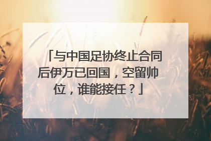 与中国足协终止合同后伊万已回国，空留帅位，谁能接任？
