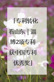 专利转化看山东｜淄博2项专利获中国专利优秀奖