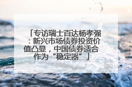 专访瑞士百达杨孝强：新兴市场债券投资价值凸显，中国债券适合作为“稳定器”