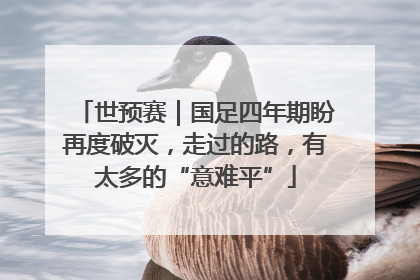 世预赛｜国足四年期盼再度破灭，走过的路，有太多的“意难平”