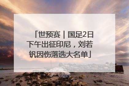 世预赛｜国足2日下午出征印尼，刘若钒因伤落选大名单