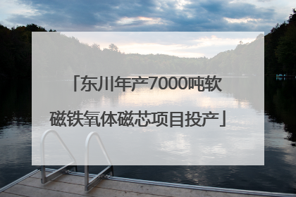 东川年产7000吨软磁铁氧体磁芯项目投产