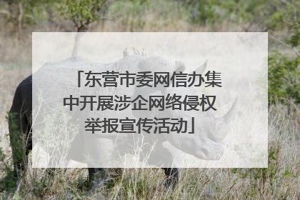 东营市委网信办集中开展涉企网络侵权举报宣传活动