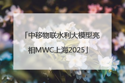 中移物联水利大模型亮相MWC上海2025