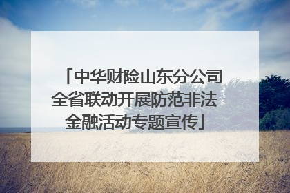 中华财险山东分公司全省联动开展防范非法金融活动专题宣传