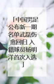 中国男足公布新一期名单武磊伤愈回归 入籍球员杨明洋首次入选