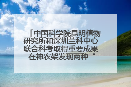 中国科学院昆明植物研究所和深圳兰科中心联合科考取得重要成果 在神农架发现两种“国保”级兰花