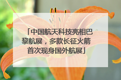 中国航天科技亮相巴黎航展，多款长征火箭首次现身国外航展