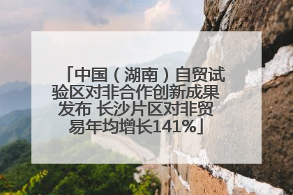 中国（湖南）自贸试验区对非合作创新成果发布 长沙片区对非贸易年均增长141%