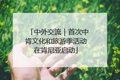 中外交流｜首次中肯文化和旅游季活动在肯尼亚启动