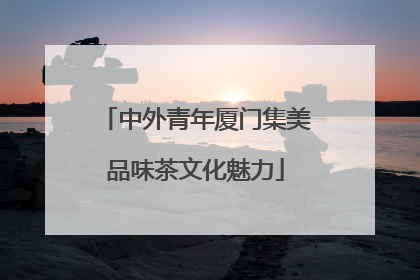 中外青年厦门集美品味茶文化魅力