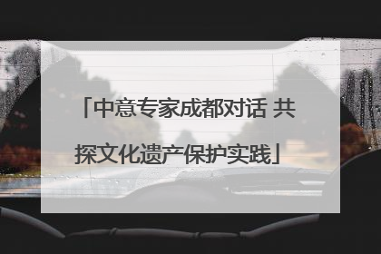 中意专家成都对话 共探文化遗产保护实践