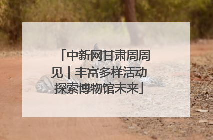 中新网甘肃周周见｜丰富多样活动探索博物馆未来