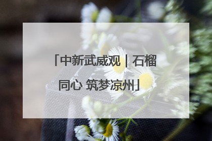 中新武威观｜石榴同心 筑梦凉州