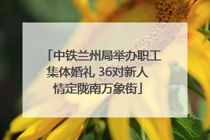 中铁兰州局举办职工集体婚礼 36对新人情定陇南万象街