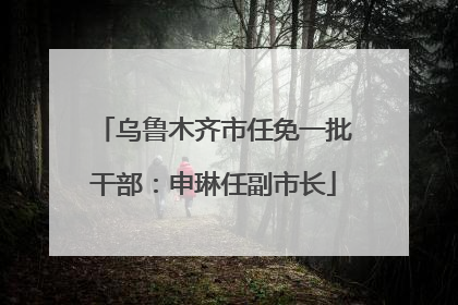 乌鲁木齐市任免一批干部：申琳任副市长