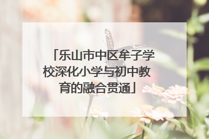 乐山市中区牟子学校深化小学与初中教育的融合贯通