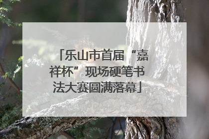 乐山市首届“嘉祥杯”现场硬笔书法大赛圆满落幕