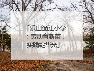 乐山通江小学：劳动育新苗，实践绽华光