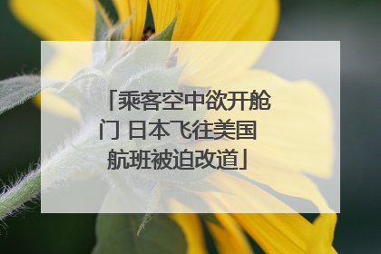 乘客空中欲开舱门 日本飞往美国航班被迫改道