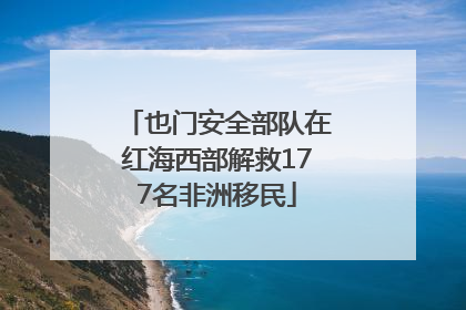也门安全部队在红海西部解救177名非洲移民