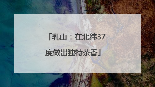 乳山：在北纬37度做出独特茶香