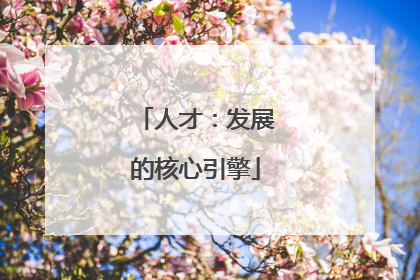 人才：发展的核心引擎