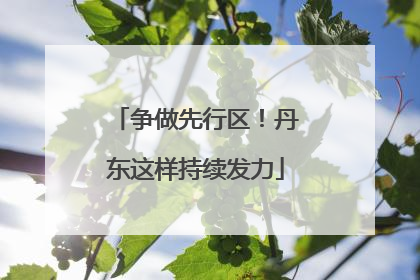 争做先行区！丹东这样持续发力
