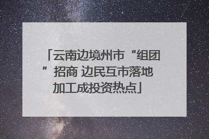 云南边境州市“组团”招商 边民互市落地加工成投资热点