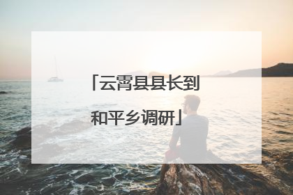 云霄县县长到和平乡调研