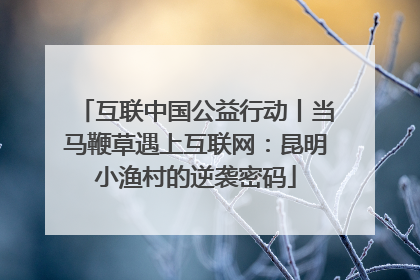 互联中国公益行动丨当马鞭草遇上互联网：昆明小渔村的逆袭密码