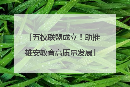 五校联盟成立！助推雄安教育高质量发展