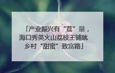 产业振兴有“荔”量，海口秀英火山荔枝王铺就乡村“甜蜜”致富路