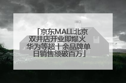 京东MALL北京双井店开业即爆火 华为等超十余品牌单日销售额破百万