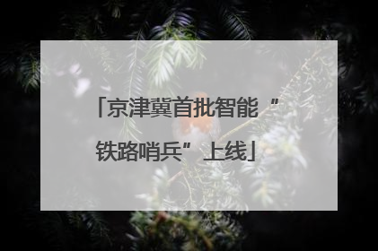 京津冀首批智能“铁路哨兵”上线