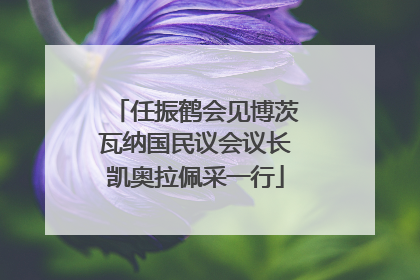 任振鹤会见博茨瓦纳国民议会议长凯奥拉佩采一行