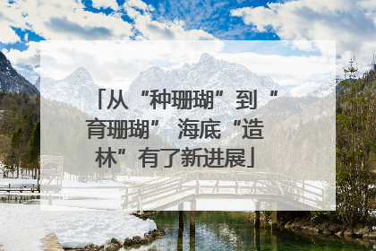 从“种珊瑚”到“育珊瑚” 海底“造林”有了新进展