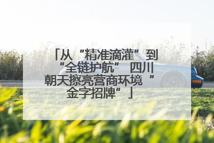 从“精准滴灌”到“全链护航” 四川朝天擦亮营商环境“金字招牌”