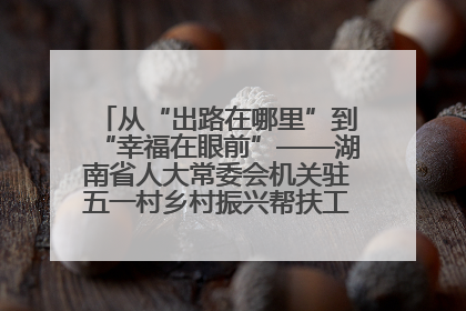从“出路在哪里”到“幸福在眼前”——湖南省人大常委会机关驻五一村乡村振兴帮扶工作队书写振兴答卷