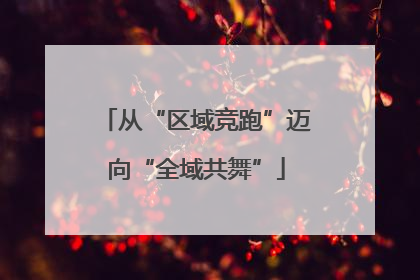 从“区域竞跑”迈向“全域共舞”