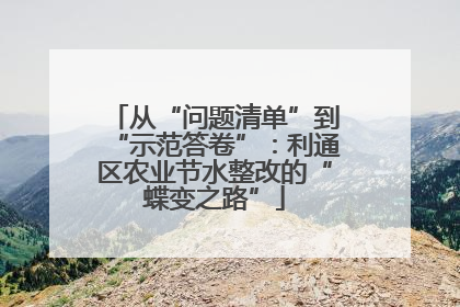 从“问题清单”到“示范答卷”：利通区农业节水整改的“蝶变之路”