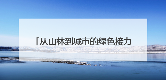 从山林到城市的绿色接力 “漫步缙云·青山驿站”探索生态文明新实践