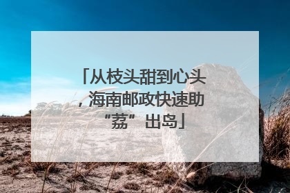 从枝头甜到心头，海南邮政快速助“荔”出岛