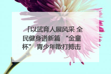 以武育人展风采 全民健身谱新篇 “金童杯” 青少年散打搏击邀请赛圆满落幕