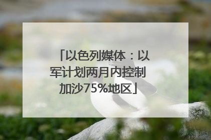 以色列媒体：以军计划两月内控制加沙75%地区