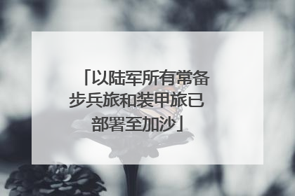 以陆军所有常备步兵旅和装甲旅已部署至加沙