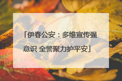 伊春公安：多维宣传强意识 全警聚力护平安