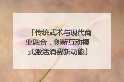 传统武术与现代商业融合，创新互动模式激活消费新动能